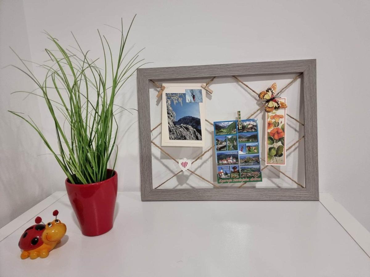 Apartmaji Ribic Ljubno Exteriör bild