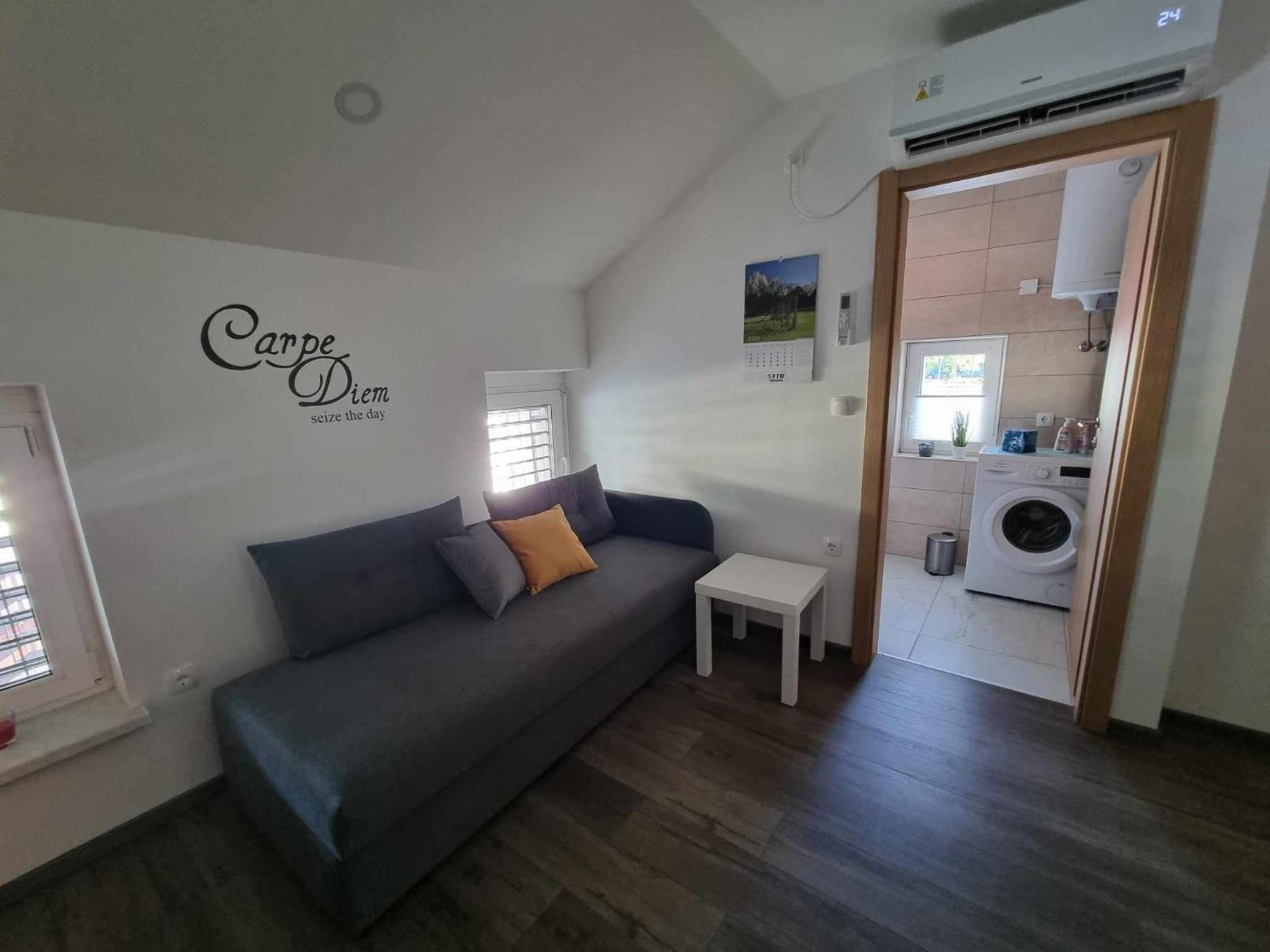 Apartmaji Ribic Ljubno Exteriör bild