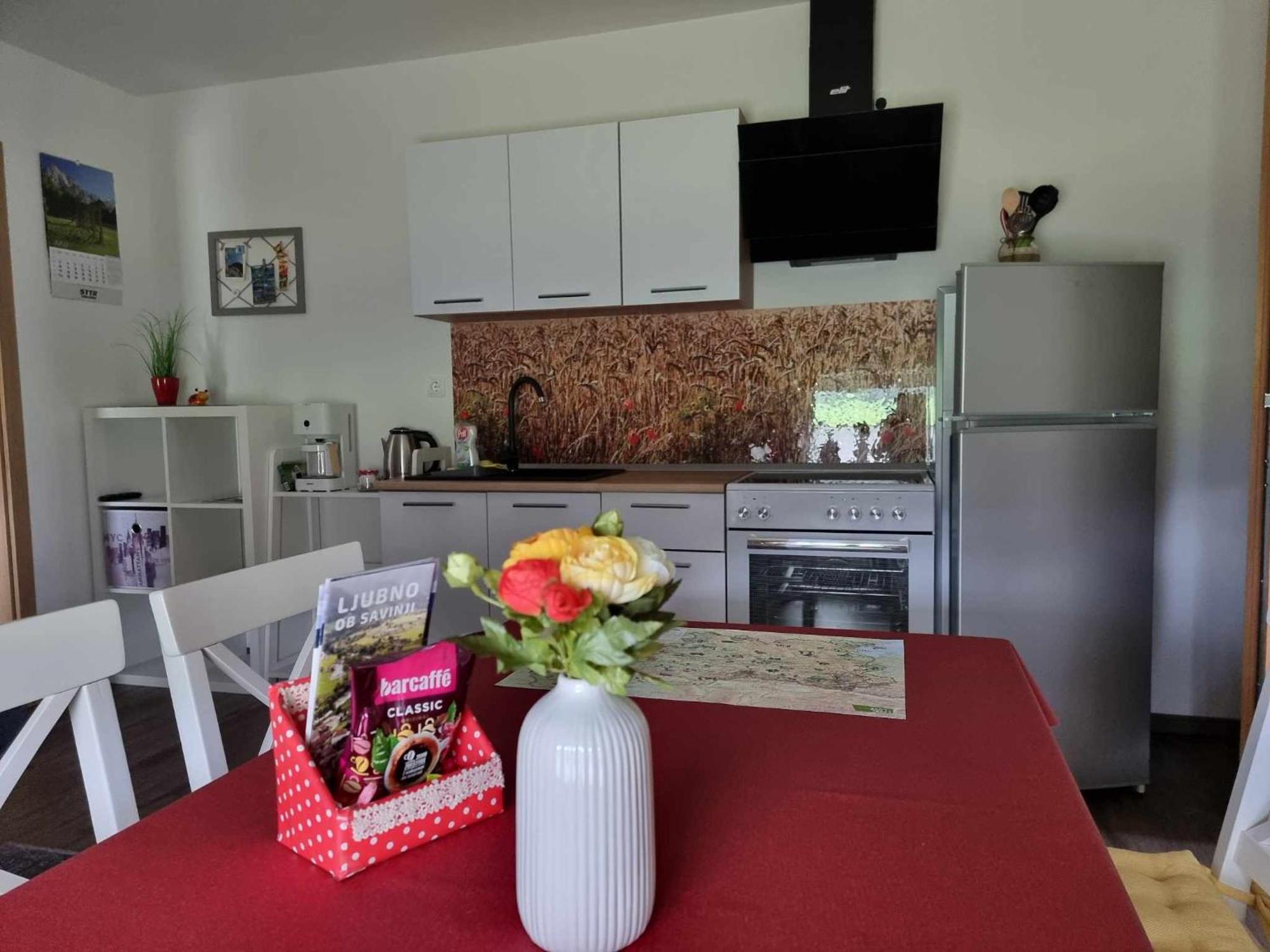 Apartmaji Ribic Ljubno Exteriör bild
